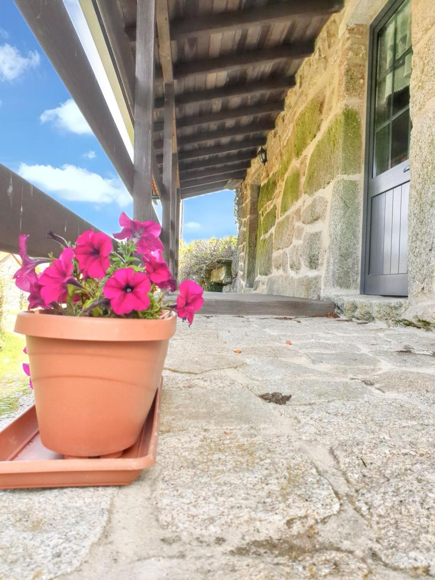 Urgueira  Welcoming House With Mountain View In Agueda Shared Poolヴィラ エクステリア 写真